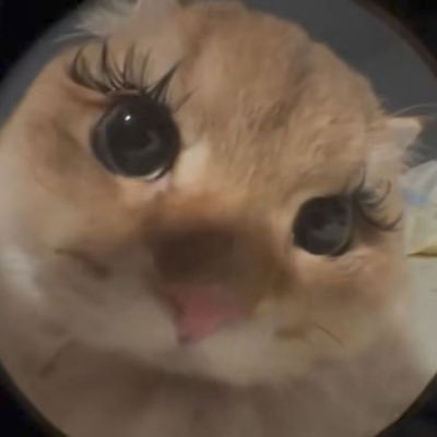 AleiyanelSimon's profile picture. 