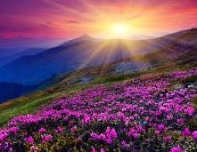 Geraldine234398's profile picture. Cryto enthusist