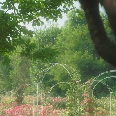 alvinfernando2's profile picture. I'm attending a charity luncheon