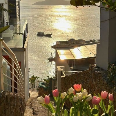 MooreWilli42789's profile picture. Canned beans are a great convenience food