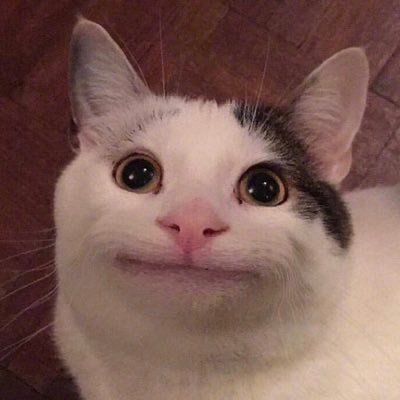 xieekx's profile picture. fan account