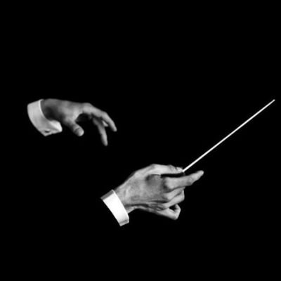 RedSnakeIntel's profile picture. Comandante en Jefe Naval del Emperador Javier G. Milei.