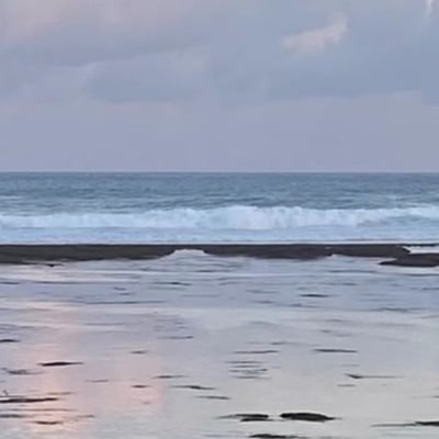 guhako8997's profile picture. ordinany people