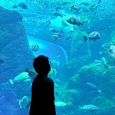 feliroxx's profile picture. PhD Candidate @ UTokyo. I code stuff and debug them on prod