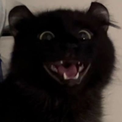 Crocus_sativa's profile picture. Friendly book shop girl. Here to help you with your next read. Occasional book reviews. Happy reading ツ