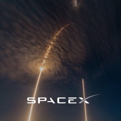 Elon__musk__614's profile picture. 