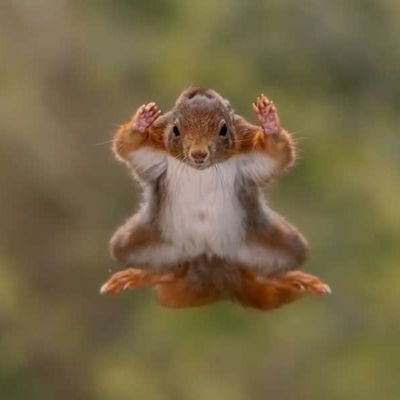 dimotc's profile picture. Entrepreneur; Marketing Digital; Afroptimiste