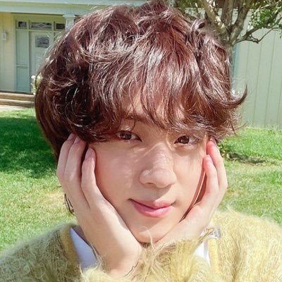 jinnielore's profile picture. luffy will become king of the pirates | fan account •ᴗ•