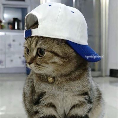 olivcpa's profile picture. 🫶🏻 backup acc :) #studytwt CPA IN TRANSIT