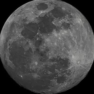 slvrmoonta's profile picture. 🐦‍🔥