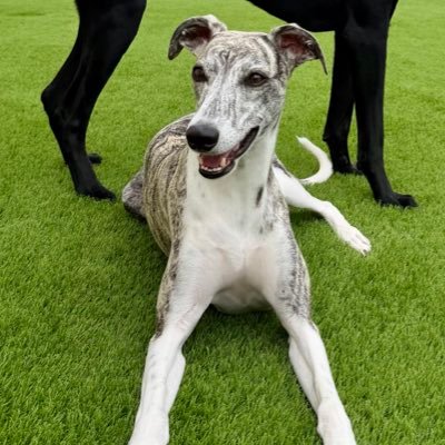 ufcfighterstats's profile picture. 