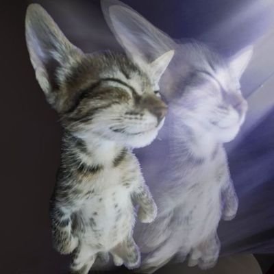 Armazi7th's profile picture. 