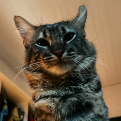 willpalhe7a's profile picture. 