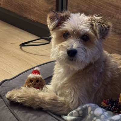 TheRealBarra1's profile picture. M - 34 - 🎸⋆⭒˚｡⋆ - 🐕 - 🎮 - 🍛 - ‧₊˚ ⋅ 🥢🍜‧₊˚ ⋅