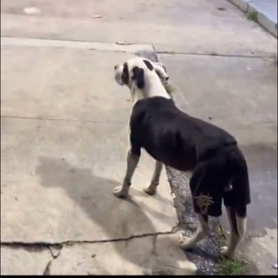 draftmerchant's profile picture. 