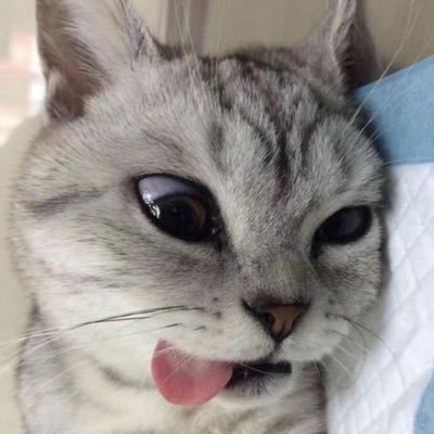 BreaKingHaw's profile picture. 