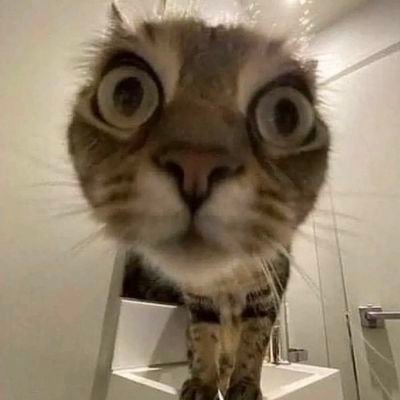 jubjib_jab's profile picture. 