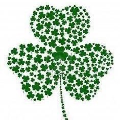 FosterOnMedia's profile picture. 