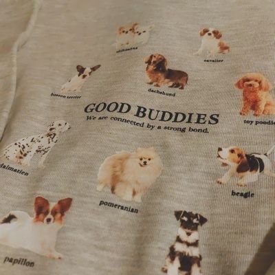 solsolemi's profile picture. 