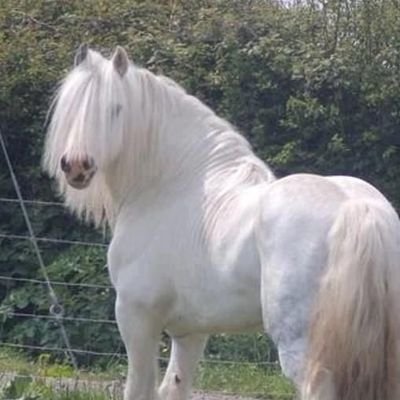 Onyxxx76's profile picture. All Of The Stars Have A Reason.

    Dumb boi