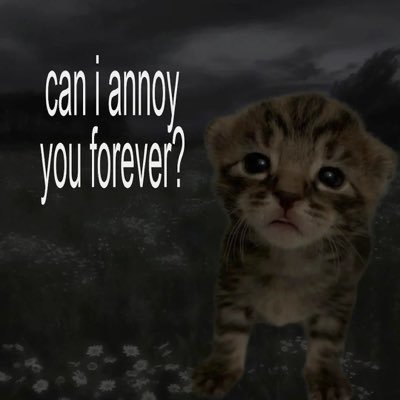 veusmyvoyez's profile picture. dan yapp