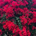 ahmetyalcin3961's profile picture. 📸 Karanlıkta bile parılda 🌌