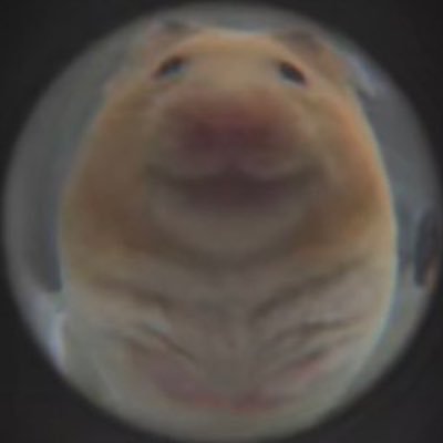 sooolar_1616's profile picture. 20↑ 勝デ好きです