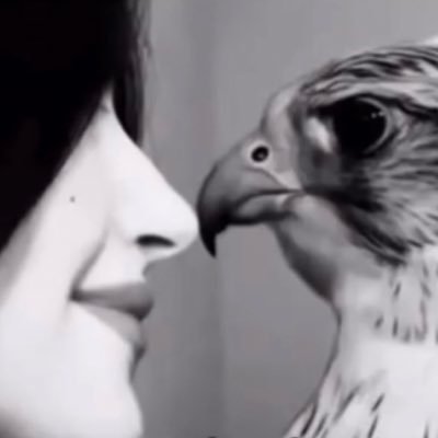 Mo6arii's profile picture. 