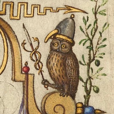 Nose_222_444's profile picture. 