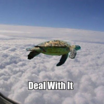 DrSAlsaleh92's profile picture. 