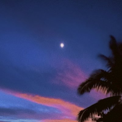 lucidwasabi's profile picture. with gratitude and love. 🇲🇾