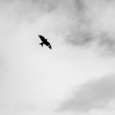 Franko_McK's profile picture. 