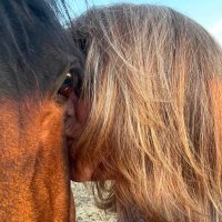 Laura (@lauradrycrklab1) 's Twitter Profile Photo