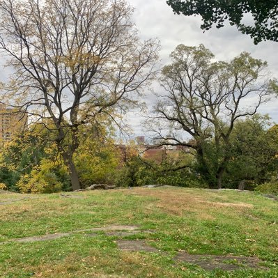 PX10TIAL's profile picture. 