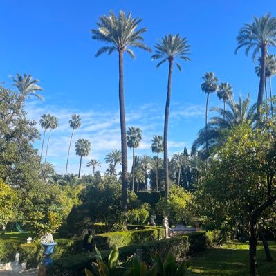 921Youyou's profile picture. 