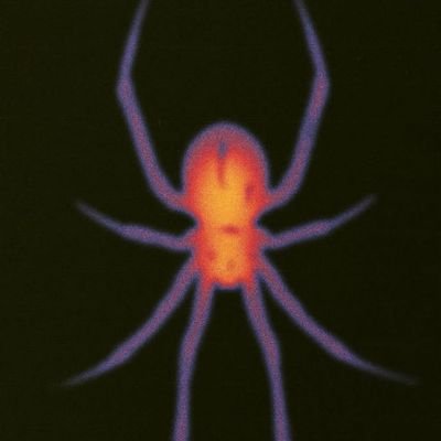 Vadaa___'s profile picture. 🇷🇪🇲🇬