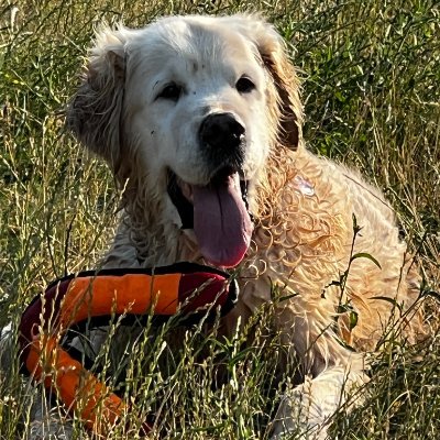 kv00596wpe2's profile picture. 