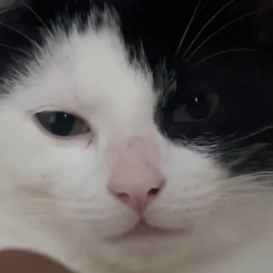 igottoohigh's profile picture. The pleasure is all mine