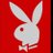 istanbulmasor30's profile image