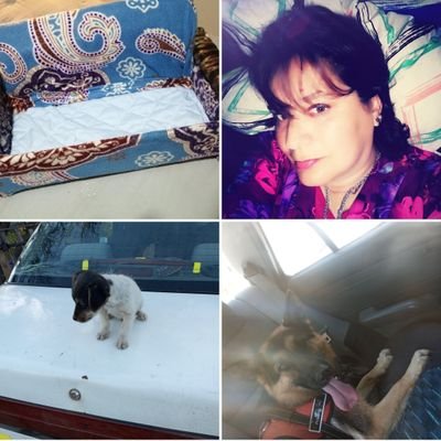 KarmarSale16322's profile picture. Masoterapeuta Profesional Integral Holística.
Artista Plástica.
Emprendedora. Camino derechito 🇨🇱🆘🆘. Anticomunista Visceral.