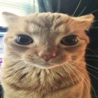 c0loR1337GOD (@c0lor1337) 's Twitter Profile