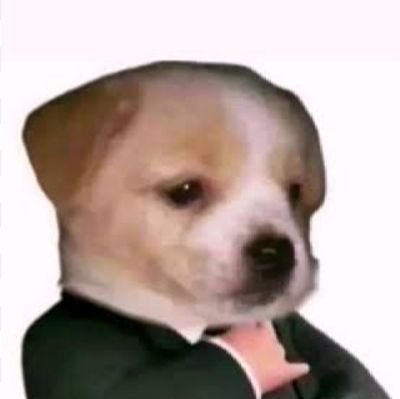 Perritofin33532's profile picture.