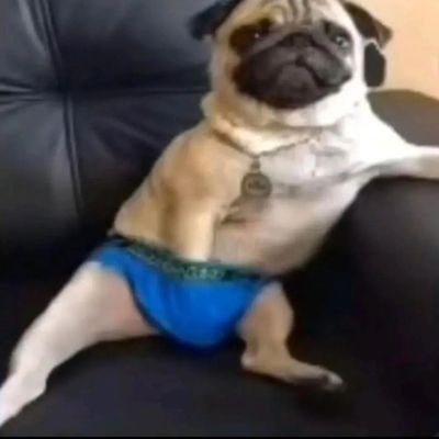 _Stramja's profile picture. 