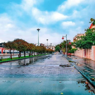 Q12345RAY's profile picture. ارتفع بنفسك فالقاع مزدحم