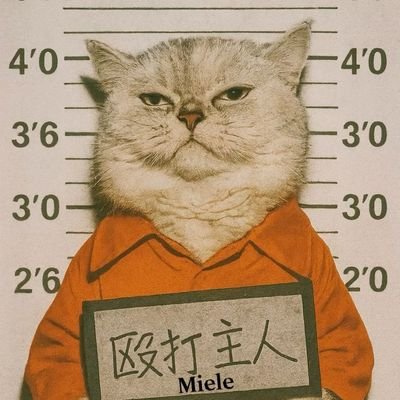 kr_sr52209's profile picture. 