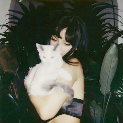 loadreamss's profile picture. 