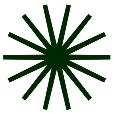 Irish Cycling Campaign Profile