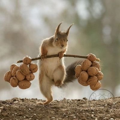 rainoflove2020's profile picture. 🎯بجای تماشای پنجره زندگی دیگران...
ازڪتاب عمرت لذت ببر
داشته‌هایت را جلوی چشمانت قاب بگیر
و برای نداشته‌هایت تلاش ڪن.
health IT
فالو بک تضمینی🙃