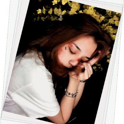 holcomb80685's profile picture. 