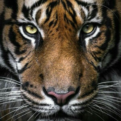 thatnathanbrand's profile picture. 